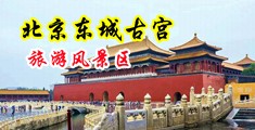 骚逼逼被大鸡巴操视频中国北京-东城古宫旅游风景区